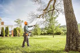 Mulching Services in Laton, CA